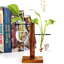 Load image into Gallery viewer, Glass Planter Bulb Vase, Desktop Plant Terrarium Kit with Retro Solid Wooden Stand for Hydroponics Plants Home Garden Office Wedding Decor (Style B)