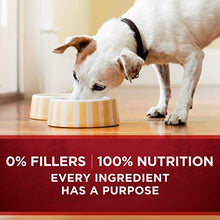 Load image into Gallery viewer, Purina ONE Natural, High Protein Gravy Wet Dog Food, SmartBlend True Instinct Turkey & Game Bird - (12) 13 oz. Cans