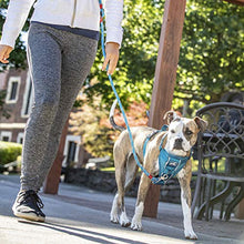 Load image into Gallery viewer, Kurgo Dog Harness | Pet Walking Harness | No Pull Harness Front Clip Feature for Training Included | Car Seat Belt | Tru-Fit Quick Release Style | Large | Grey