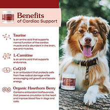Load image into Gallery viewer, FERA PET ORGANICS Cardiac Support Cat and Dog Supplement with Taurine, L Carnitine, CoQ10, Vitamin E, and Hawthorn Berry, Cat and Dog Vitamins for Heart Health, 60 Capsules