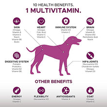 Load image into Gallery viewer, PetHonesty 10 in 1 Multivitamin + Advanced Hip + Joint Soft Chew Supplement Bundle - Dog Vitamins - Glucosamine Chondroitin, Omegas, Turmeric and MSM for Overall Dog Health, Joint Supplement for Dogs