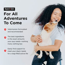 Load image into Gallery viewer, Nutri-Vet Pre and Probiotic Soft Chews for Dogs | Digestive Health Support Dog Probiotics | Tasty Alternative to Dog Probiotic Powder | 120 Soft Chews