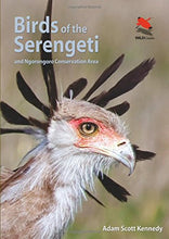 Load image into Gallery viewer, Birds of the Serengeti: And Ngorongoro Conservation Area (Wildlife Explorer Guides)