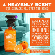 Load image into Gallery viewer, ANGRY ORANGE Pet Odor Eliminator for Strong Odor - Citrus Deodorizer for Dog Urine Smells on Carpet, Furniture & Floors - Puppy Supplies (24 Fl Oz + UV Flashlight)