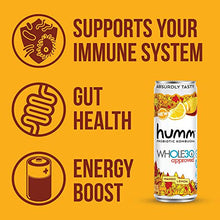Load image into Gallery viewer, Humm Whole30 Approved Probiotic Kombucha Variety Pack - 2 Billion Probiotics - No Added Sugar - Organic, Vegan & GMO-Free (12 Pack)