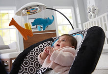 Load image into Gallery viewer, Fisher-Price Deluxe Bouncer