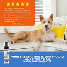 Load image into Gallery viewer, Wahl Pet Friendly Waterless No Rinse Shampoo for Animals – Lavender & Chamomile for Cleaning, Conditioning, Detangling, & Moisturizing Dogs, Cats, & Horses – 7.1 Oz
