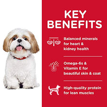Load image into Gallery viewer, Hill's Science Diet Dry Dog Food, Adult 7+ for Senior Dogs, Small Bites, Chicken Meal, Barley & Brown Rice Recipe, 5 lb Bag