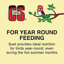 Load image into Gallery viewer, C&S Wild Bird EZ Fill Suet Basket, Green
