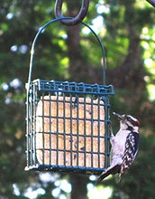 Load image into Gallery viewer, Wildlife Sciences Suet Cake Variety 12 Pack of Suet Cakes | 10.5 oz Suet Cakes for Wild Birds (12 Pack Sunflower)