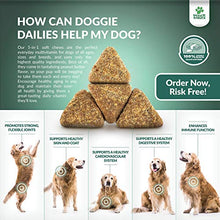 Load image into Gallery viewer, Doggie Dailies Bundle - 5-in-1 Multivitamin & Salmon Oil for Dogs