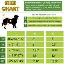 Load image into Gallery viewer, Wegreeco Washable Reusable Premium Dog Diapers, Medium, Bright Color, for Female Dog, Pack of 3