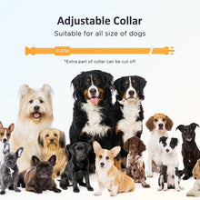 Load image into Gallery viewer, PATPET Dog Training Collar with 3 Safe Training Modes, Rechargeable IPX7 Waterproof Shock Collar with Remote, 3000 Ft Control Perfect for Small Medium Large Dogs(8-120 lbs)