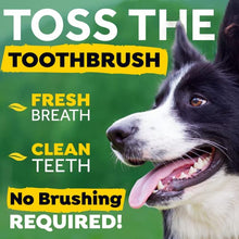 Load image into Gallery viewer, TropiClean Fresh Breath Oral Care Drops for Dogs, Breath Freshener for Dogs with Bad Breath, Made With Natural Ingredients, 2.2 Fl Oz