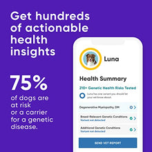Load image into Gallery viewer, Embark | Dog DNA Test | Breed & Health Kit | Breed Identification & Canine Genetic Health Screening