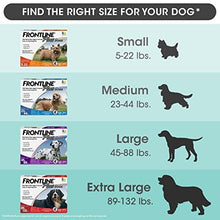 Load image into Gallery viewer, Frontline Plus Flea and Tick Treatment for Dogs (Small Dog, 5-22 Pounds, 3 Doses)