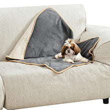 Load image into Gallery viewer, Bedsure Waterproof Dog Blankets for Small Dogs - Small Cat Blanket Washable for Couch Protection- Sherpa Fleece Puppy Blanket, Soft Plush Reversible Throw Furniture Protector, 25"X35", Grey