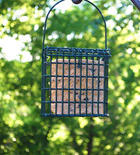 Load image into Gallery viewer, St. Albans Bay Suet Plus High Energy Suet Cakes, 20 Pack of 11 oz. Suet Cakes for Wild Birds
