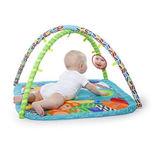 Load image into Gallery viewer, Bright Starts Zippy Zoo Activity Gym