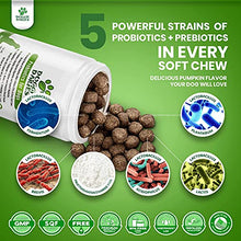 Load image into Gallery viewer, Doggie Dailies Bundle - Probiotics & Bladder Support Soft Chews