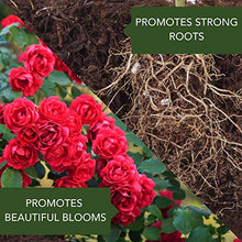 Load image into Gallery viewer, Osmocote 274850 Smart-Release Plant Food Plus Outdoor & Indoor, 8 lbs & Bayer Advanced 701110A All in One Rose and Flower Care Granules, 4-Pound