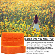 Load image into Gallery viewer, Solpri Shield Original and Exfoliating Charcoal Soap Bar Bundle