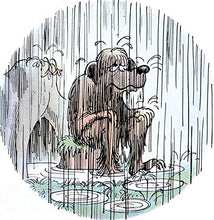 Load image into Gallery viewer, The Berenstain Bears' Big Book of Science and Nature (Dover Children's Science Books)