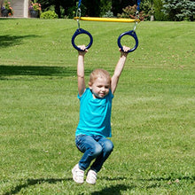 Load image into Gallery viewer, Swing-N-Slide Ring and Trapeze Combo swing Black
