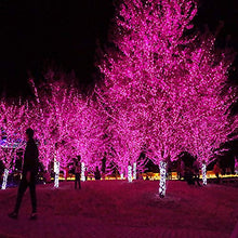Load image into Gallery viewer, Fairy Lights Easter String Lights 33ft 100 LED with Memory Modes Controller, Extendable Outdoor Lights Decorations for Bedroom, Wedding, Christmas, Festival Party, Patio, Indoor and Outdoor (Pink)