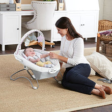 Load image into Gallery viewer, Graco Duet Sway LX Swing with Portable Bouncer, Camila