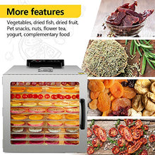 Load image into Gallery viewer, Food Dehydrator, 12 Layers Commercial Stainless Steel Fruit Dehydrator, 1000W Professional Adjustable Temperature Control and 0~24 Hours Digital Timer Food Dryer Household with Glass Window and 67 Recipes