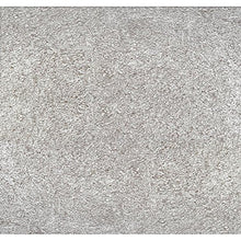 Load image into Gallery viewer, Westinghouse Lighting 6357700 Rezner One-Light, Galvanized Steel Finish with Clear Seeded Glass Outdoor Wall Fixture