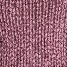 Load image into Gallery viewer, Caron Simply Soft Solids Yarn (4) Medium Gauge 100% Acrylic - 6 oz - Plum Wine - Machine Wash & Dry