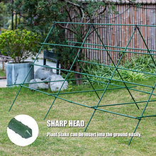 Load image into Gallery viewer, Orgrimmar 26 PCS 48" Garden Support Stakes Plastic Coated Deformable Climbing Plant Trellis Plant Climbing Frame for Tomato Cucumber Eggplant Vine Vegetable (48 Inch)