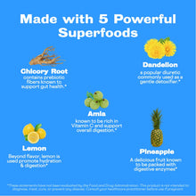 Load image into Gallery viewer, Sunwink Digestion Lemonade - Organic Lemon & Amla Powder for Digestion and Detox - Clean Superfood Powder for Lemon Water, Lemon Juice & Smoothies - No Added Sugar (40 Servings)