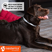 Load image into Gallery viewer, Rolf Club Flea & Tick Collar for Dogs with 3D Level Protect | 6 Months Prevention & Waterproof Repellent | Knockdown Effect Kills Ticks Before Bite | Safe Treatment Control | For Dogs Up to 65 Lb