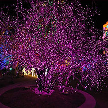 Load image into Gallery viewer, Fairy Lights Easter String Lights 33ft 100 LED with Memory Modes Controller, Extendable Outdoor Lights Decorations for Bedroom, Wedding, Christmas, Festival Party, Patio, Indoor and Outdoor (Pink)