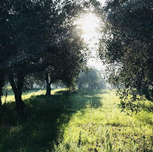 Load image into Gallery viewer, High Mountain Organic EVOO | Little Gypsy Farms Estate Grown Greek Extra Virgin Olive Oil | 5x High Polyphenols | Small Batch | First Cold-Pressed | NYIOOC Gold Award | Product Of Greece | 500ml