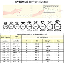 Load image into Gallery viewer, Gem Stone King 1.40 Ct Oval Red VS Rhodolite Garnet 925 Sterling Silver Men's Ring (Size 13)