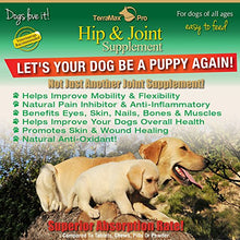 Load image into Gallery viewer, Concentrated Liquid Glucosamine for Dogs ? Advanced Hip and Joint Supplement with Chondroitin, MSM, Hyaluronic Acid and More ? Safe & Natural Arthritis Pain Relief for Dogs ? 32 oz Bottle ? Made in USA! ?!