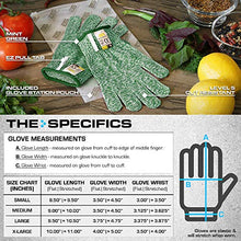 Load image into Gallery viewer, Glove Station The Combat Tactical Knuckle Gloves, Green, M & Ultra Durable Series Cut Resistant Gloves, Green, M