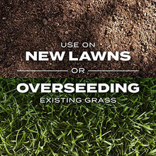Load image into Gallery viewer, Scotts Turf Builder Rapid Grass Sun & Shade Mix: up to 2,800 sq. ft., Combination Seed & Fertilizer, Grows in Just Weeks, 5.6 lbs
