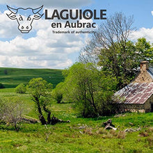 Load image into Gallery viewer, Laguiole en Aubrac corkscrew sommelier waiters knife 3 functions SOM99PWI larimar handle, stainless steel shiny