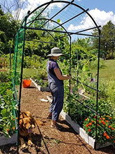 Load image into Gallery viewer, Gardener’s Supply Company Extra Tall Garden Arch Arbor 80in Titan Squash Tunnel | Lightweight Metal Garden Arch Trellis Plant Stand for Climbing Vines | Outdoor Lawn Tower & Garden Support Structure
