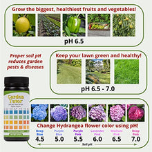 Load image into Gallery viewer, Garden Tutor Soil pH Test Kit & Dirtilizer 3-0-3 Liquid Fertilizer & Soil Conditioner Bundle