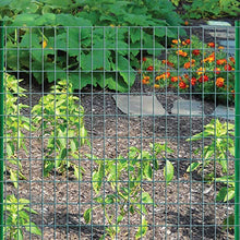 Load image into Gallery viewer, Origin Point 22450 24 Inches x 50 Feet 16-Gauge Green Vinyl Coated Garden Fence with 3 x 2-Inch Openings, 24" x 50'