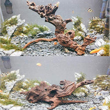 Load image into Gallery viewer, PINVNBY Natural Aquarium Driftwood Assorted Branches Reptile Ornament for Fish Tank Decoration Pack of 3