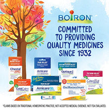 Load image into Gallery viewer, Boiron Arnicare Gel 4.2 Ounce (Pack of 1) Topical Pain Relief Gel