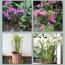 Load image into Gallery viewer, 10 Pack Garden Plant Support Stakes,10" Wide x 16" High Half Round Metal Garden Plant Support Ring Cage Border Support, Garden Supports for Plants Peony Flowers Vine Tomato with 66ft Plant Ties