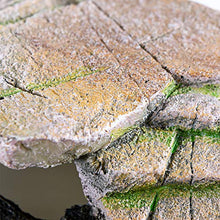 Load image into Gallery viewer, PENN-PLAX Reptology Shale Scape Step Ledge & Cave Hideout – Decorative Resin for Aquariums & Terrariums – Great for Reptiles, Amphibians, and Fish – Medium